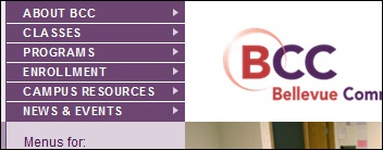 02_bellevueCC_top-left