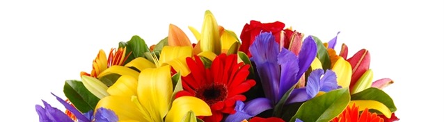 bouquet-of-flowers-04[1]